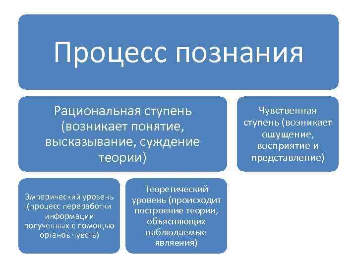 Рациональное познание ощущение суждение