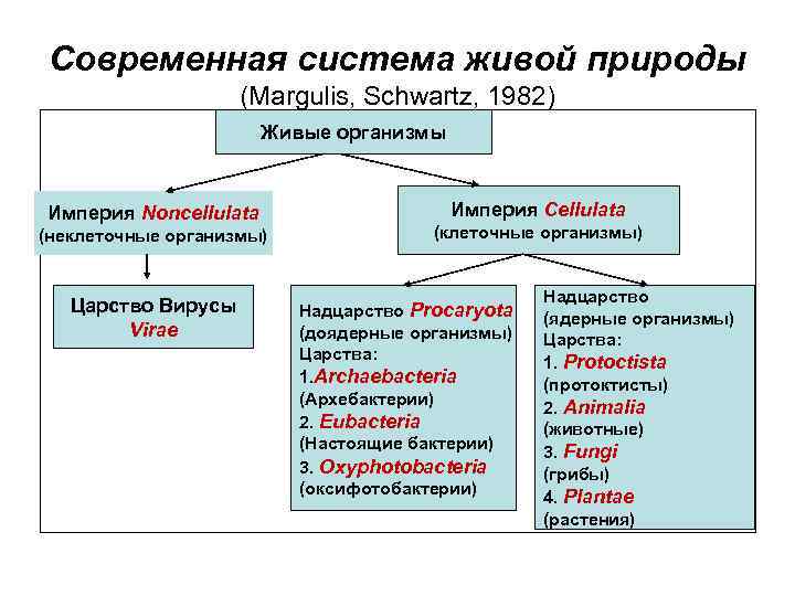 Современная система живой природы (Margulis, Schwartz, 1982) Живые организмы Империя Noncellulata (неклеточные организмы) Царство