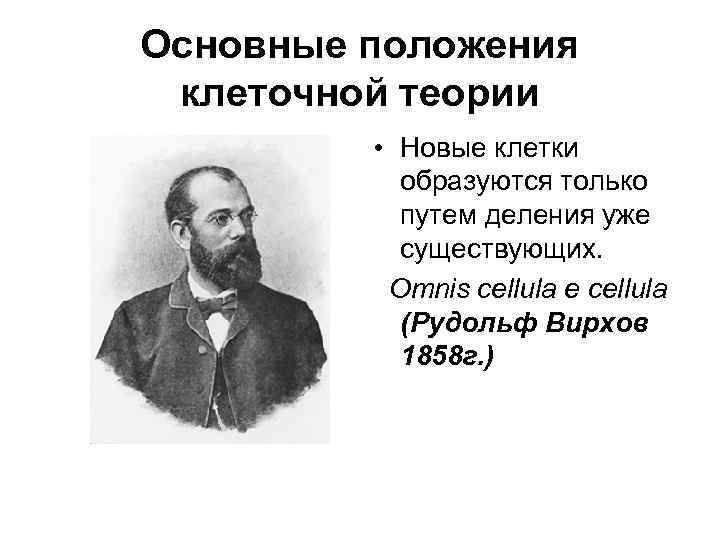 Основные положения клеточной теории • Новые клетки образуются только путем деления уже существующих. Omnis