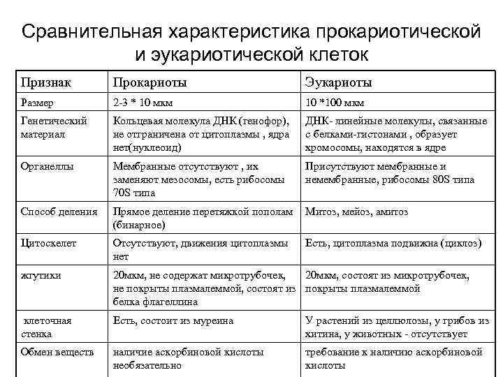 Сравнительная характеристика прокариотической и эукариотической клеток Признак Прокариоты Эукариоты Размер 2 -3 * 10