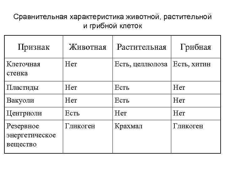 Сравнительная характеристика животной, растительной и грибной клеток Признак Животная Растительная Грибная Клеточная стенка Нет