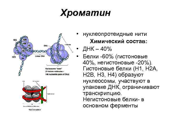 Значение ядра