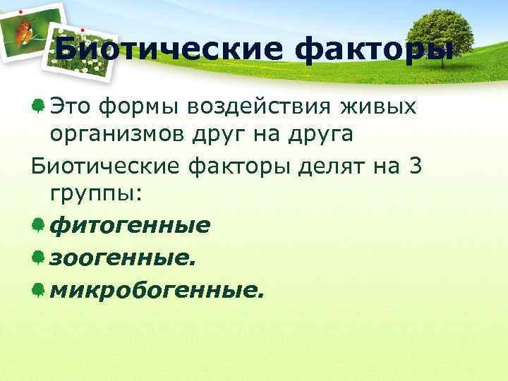 Биотические факторы Это формы воздействия живых организмов друг на друга Биотические факторы делят на