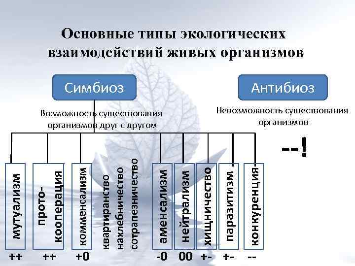 Взаимоотношения между организмами схема