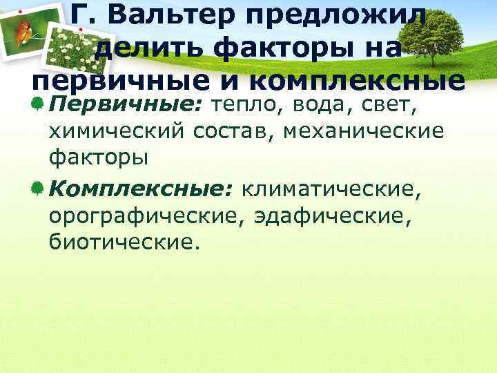 Г. Вальтер предложил делить факторы на первичные и комплексные Первичные: тепло, вода, свет, химический