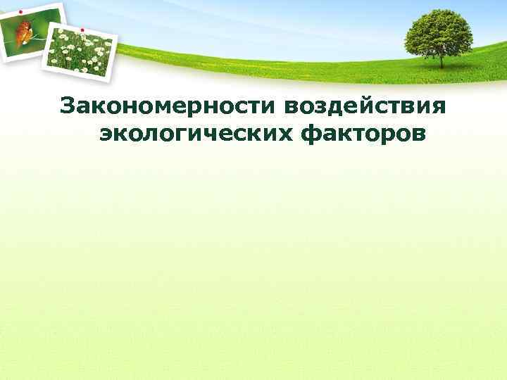 Закономерности воздействия экологических факторов 