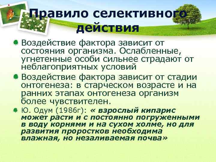 Правило селективного действия Воздействие фактора зависит от состояния организма. Ослабленные, угнетенные особи сильнее страдают