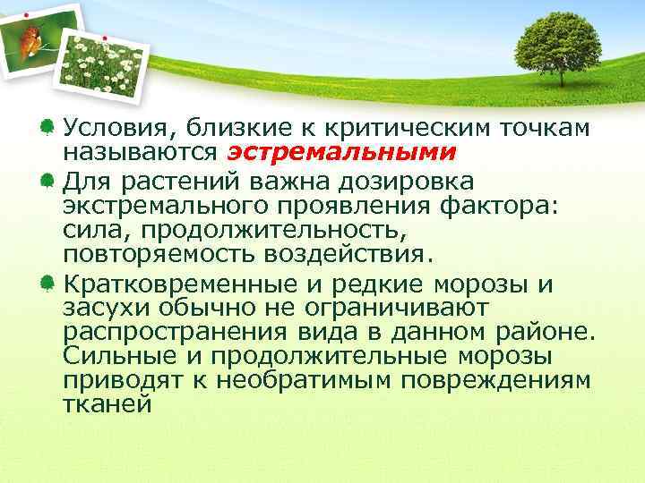 Условия, близкие к критическим точкам называются эстремальными Для растений важна дозировка экстремального проявления фактора: