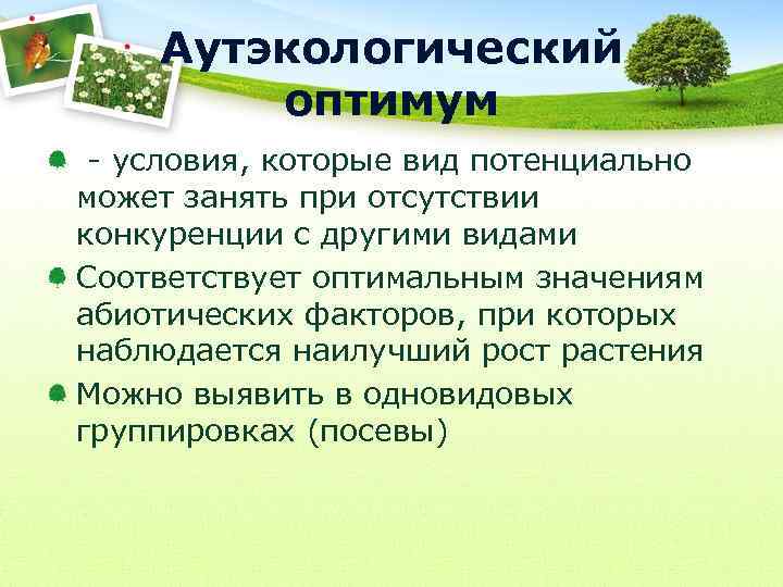 Аутэкологический оптимум - условия, которые вид потенциально может занять при отсутствии конкуренции с другими