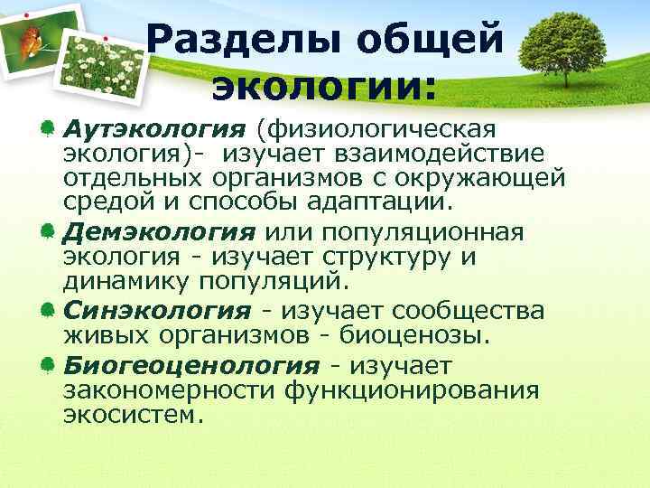 Разделы общей экологии: Аутэкология (физиологическая экология)- изучает взаимодействие отдельных организмов с окружающей средой и