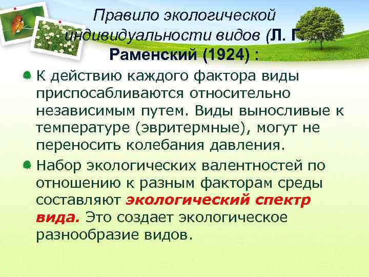 Правило экологической индивидуальности видов (Л. Г. Раменский (1924) : К действию каждого фактора виды