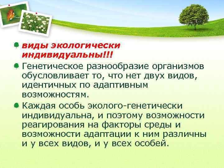 виды экологически индивидуальны!!! Генетическое разнообразие организмов обусловливает то, что нет двух видов, идентичных по