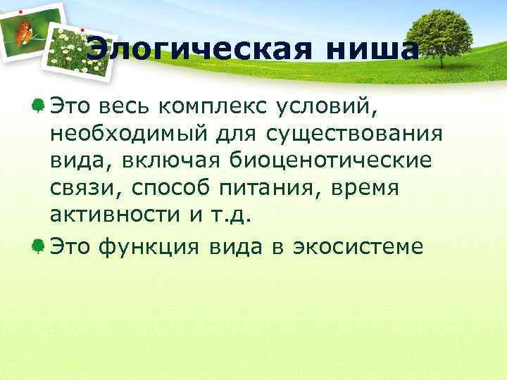 Элогическая ниша Это весь комплекс условий, необходимый для существования вида, включая биоценотические связи, способ