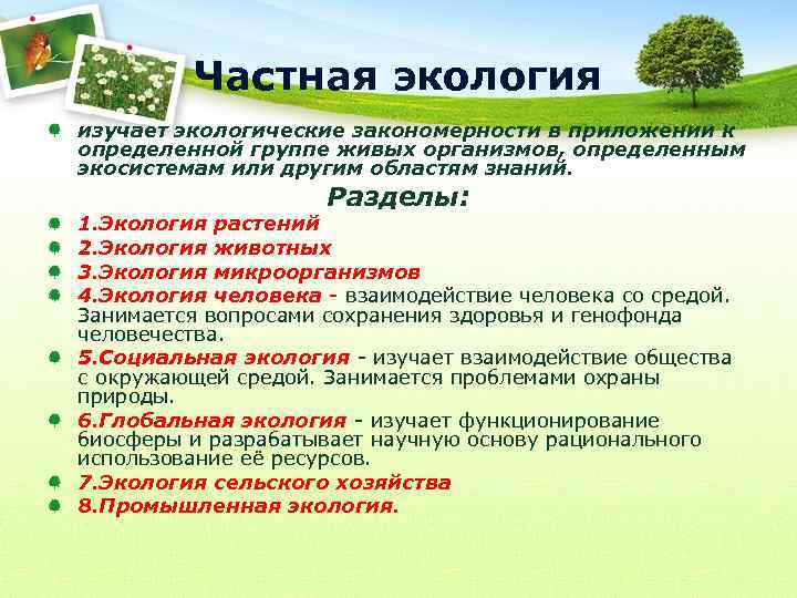 Частная экология изучает экологические закономерности в приложении к определенной группе живых организмов, определенным экосистемам