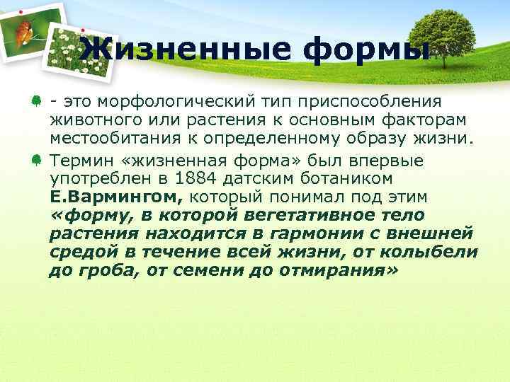 Жизненные формы - это морфологический тип приспособления животного или растения к основным факторам местообитания