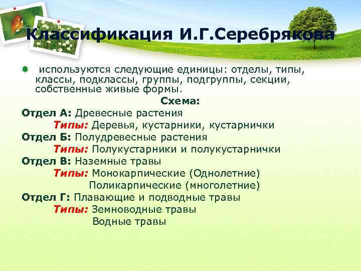Классификация И. Г. Серебрякова используются следующие единицы: отделы, типы, классы, подклассы, группы, подгруппы, секции,