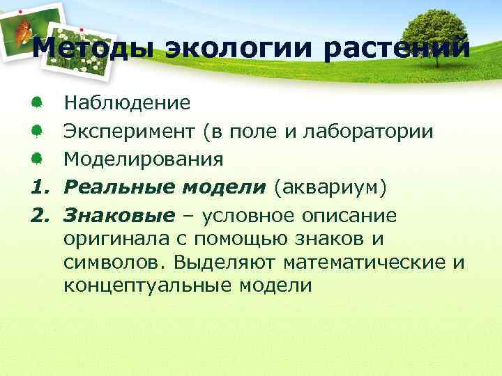 Методы экологии растений Наблюдение Эксперимент (в поле и лаборатории Моделирования 1. Реальные модели (аквариум)