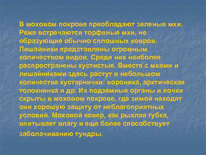 В моховом покрове преобладают зеленые мхи. Реже встречаются торфяные мхи, не образующие обычно сплошных