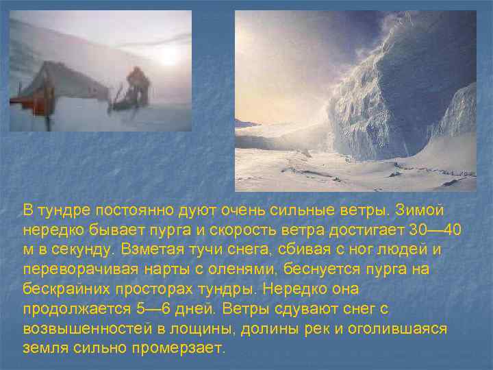 В тундре постоянно дуют очень сильные ветры. Зимой нередко бывает пурга и скорость ветра