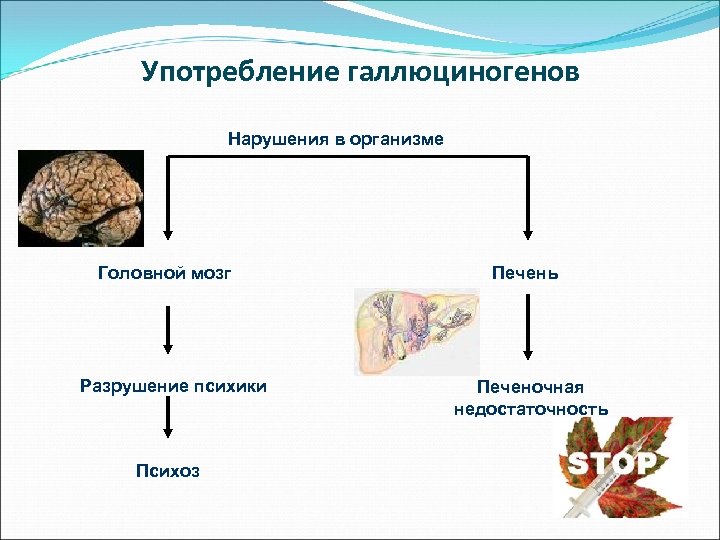 Употребление галлюциногенов Нарушения в организме Головной мозг Разрушение психики Психоз Печень Печеночная недостаточность 