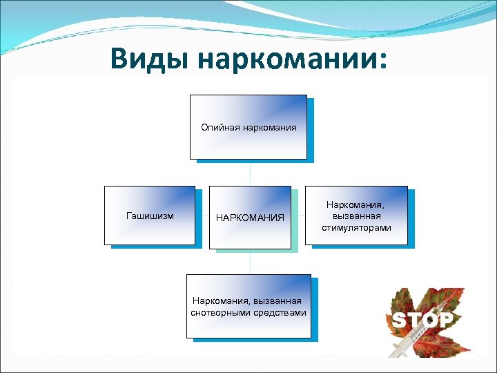Виды наркомании: Опийная наркомания Гашишизм НАРКОМАНИЯ Наркомания, вызванная снотворными средствами Наркомания, вызванная стимуляторами 