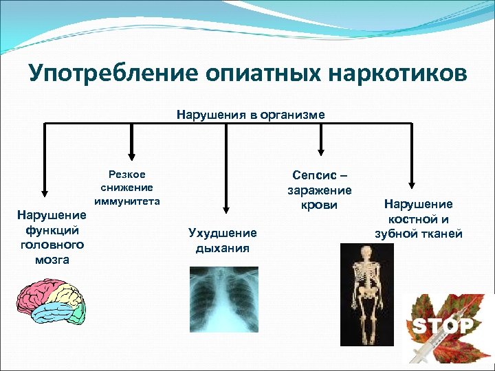 Употребление опиатных наркотиков Нарушения в организме Резкое снижение иммунитета Нарушение функций головного мозга Сепсис