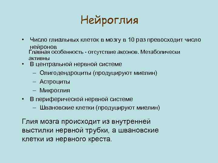 Нейроглия • Число глиальных клеток в мозгу в 10 раз превосходит число нейронов Главная