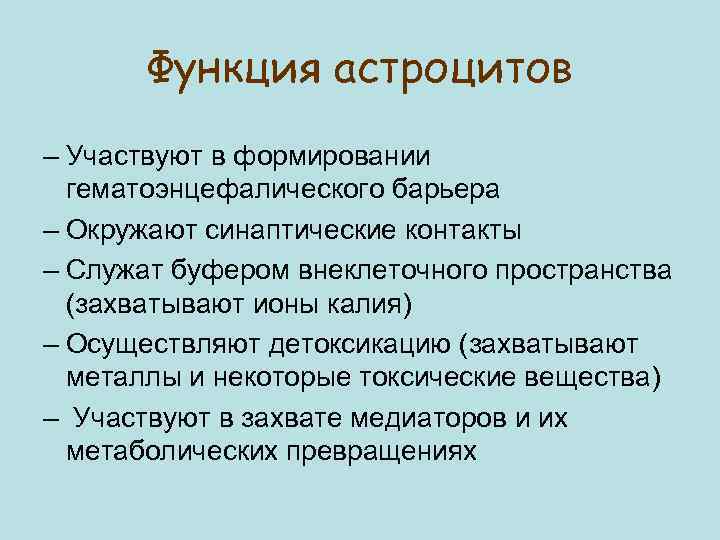 Функция астроцитов – Участвуют в формировании гематоэнцефалического барьера – Окружают синаптические контакты – Служат