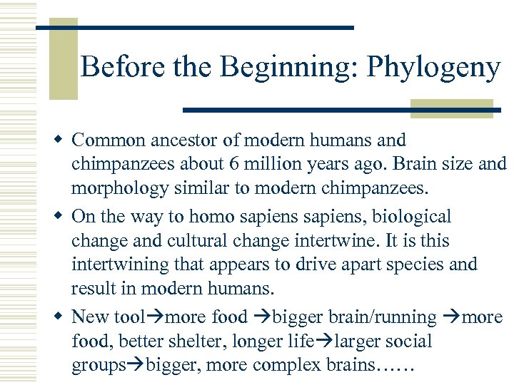  Before the Beginning: Phylogeny w Common ancestor of modern humans and chimpanzees about