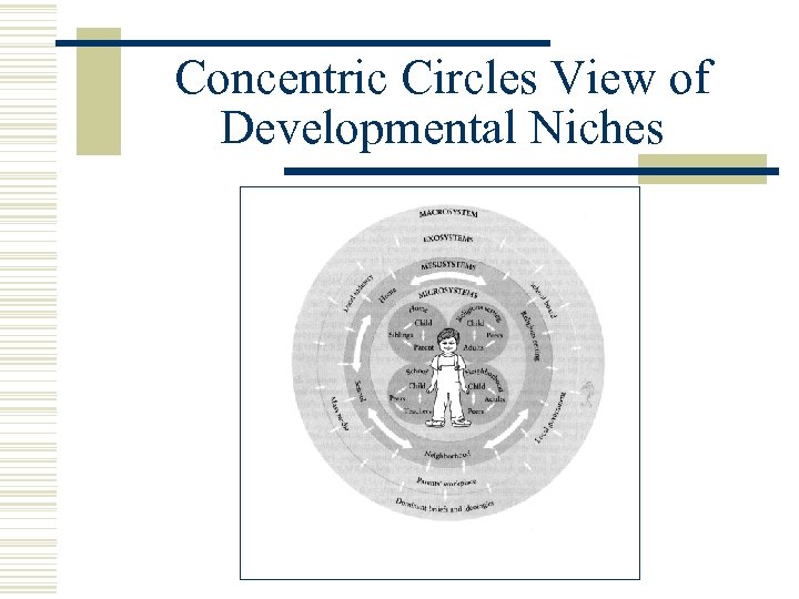 Concentric Circles View of Developmental Niches 