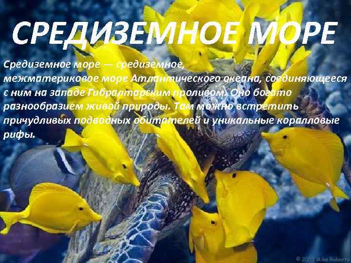  СРЕДИЗЕМНОЕ МОРЕ Средиземное море — средиземное, межматериковое море Атлантического океана, соединяющееся с ним