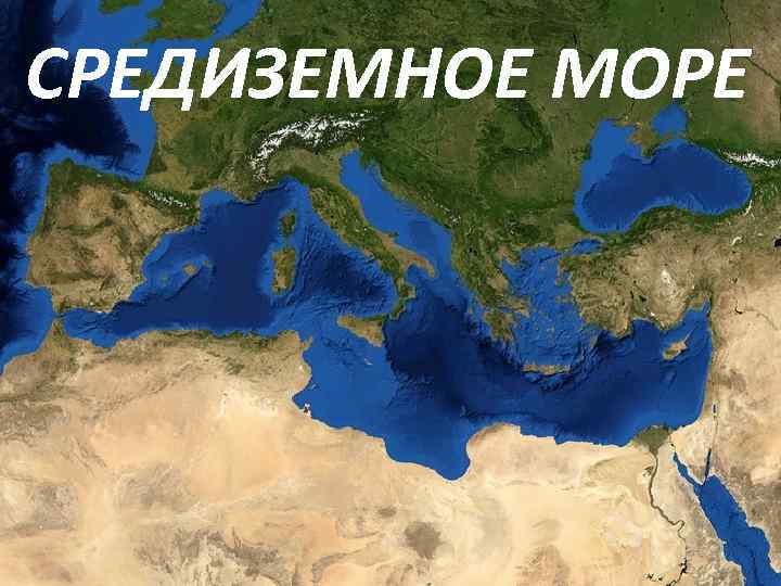  СРЕДИЗЕМНОЕ МОРЕ 