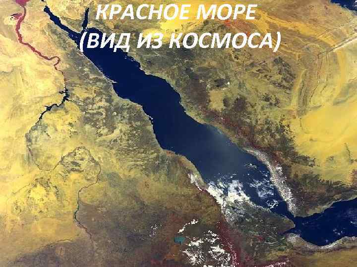  КРАСНОЕ МОРЕ (ВИД ИЗ КОСМОСА) 
