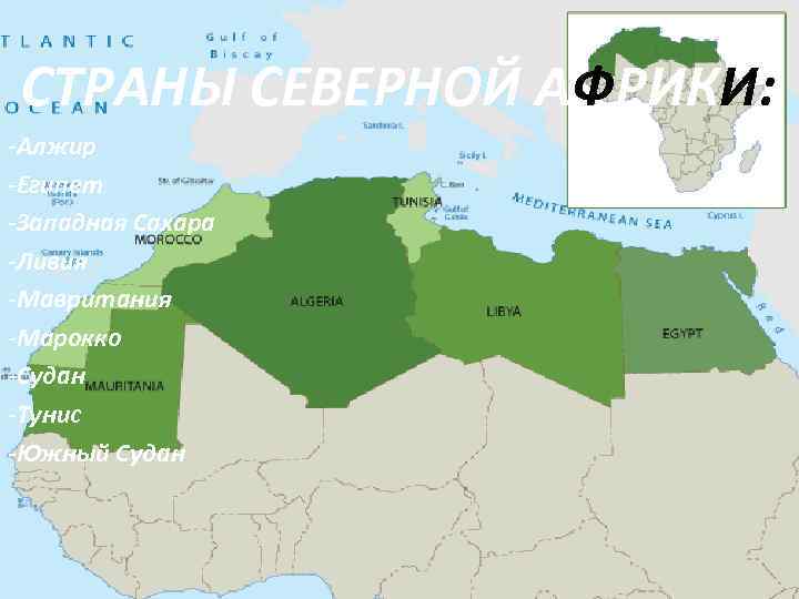  СТРАНЫ СЕВЕРНОЙ АФРИКИ: -Алжир -Египет -Западная Сахара -Ливия -Мавритания -Марокко -Судан -Тунис -Южный