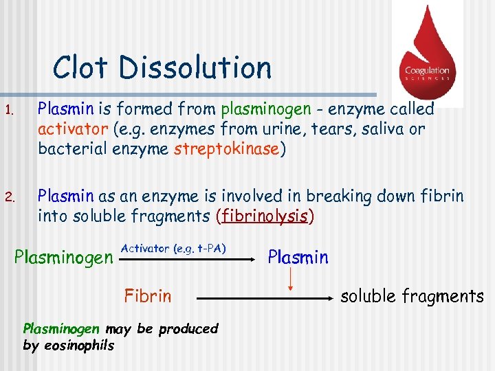 Clot Dissolution 1. Plasmin is formed from plasminogen - enzyme called activator (e. g.