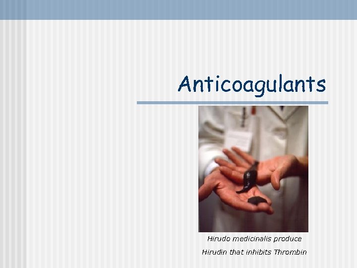 Anticoagulants Hirudo medicinalis produce Hirudin that inhibits Thrombin 