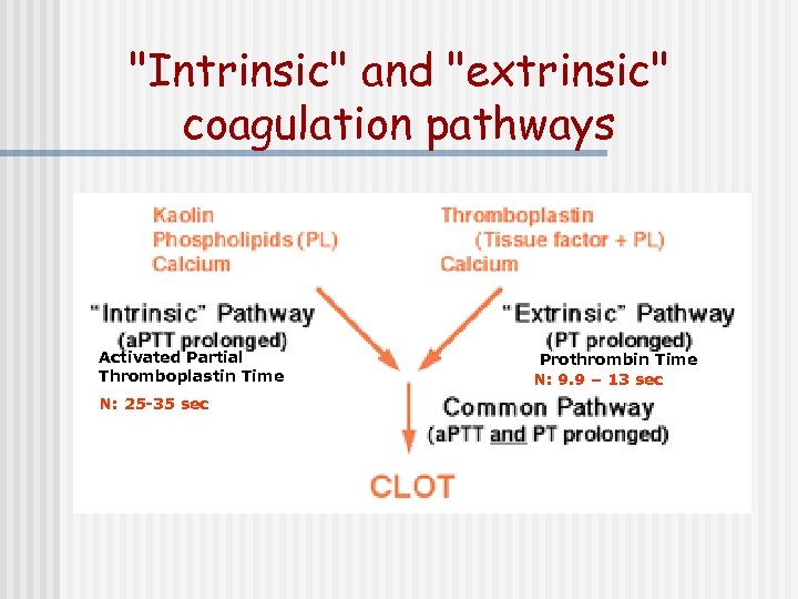 "Intrinsic" and "extrinsic" coagulation pathways Activated Partial Thromboplastin Time N: 25 -35 sec Prothrombin