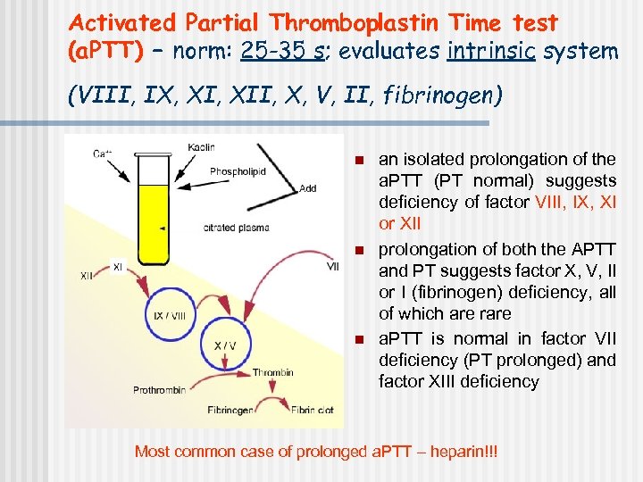 Activated Partial Thromboplastin Time test (a. PTT) – norm: 25 -35 s; evaluates intrinsic