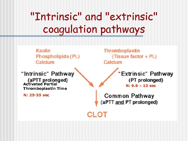 "Intrinsic" and "extrinsic" coagulation pathways Activated Partial Thromboplastin Time N: 25 -35 sec N: