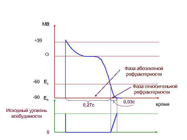 МВ +30 О Фаза абсолютной рефрактерности -60 Ек Фаза относительной рефрактерности -90 Eо 0,
