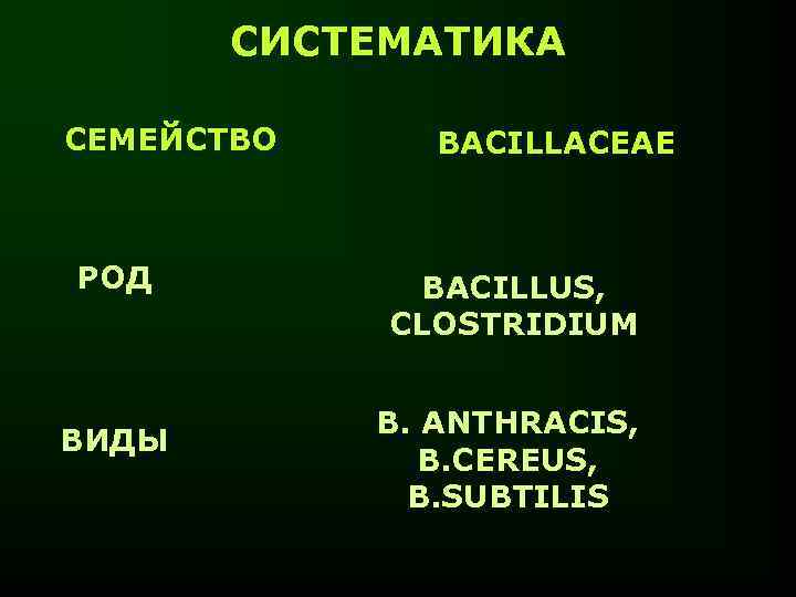 СИСТЕМАТИКА СЕМЕЙСТВО РОД ВИДЫ BACILLACEAE BACILLUS, CLOSTRIDIUM B. ANTHRACIS, B. CEREUS, B. SUBTILIS 