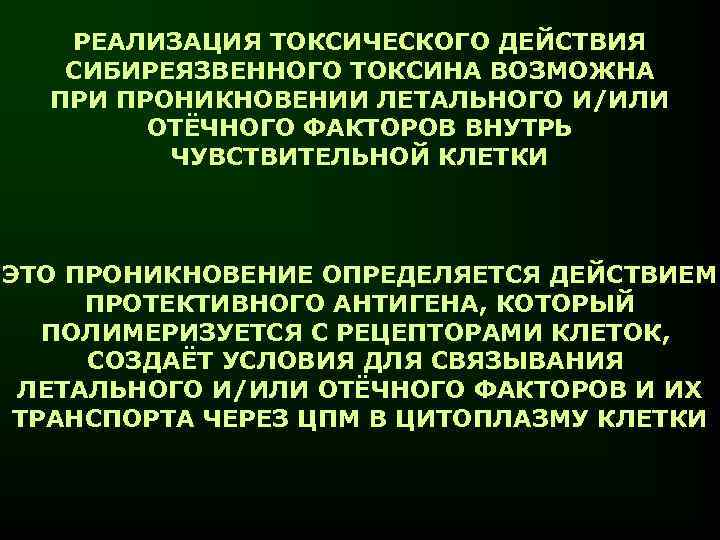 РЕАЛИЗАЦИЯ ТОКСИЧЕСКОГО ДЕЙСТВИЯ СИБИРЕЯЗВЕННОГО ТОКСИНА ВОЗМОЖНА ПРИ ПРОНИКНОВЕНИИ ЛЕТАЛЬНОГО И/ИЛИ ОТЁЧНОГО ФАКТОРОВ ВНУТРЬ ЧУВСТВИТЕЛЬНОЙ