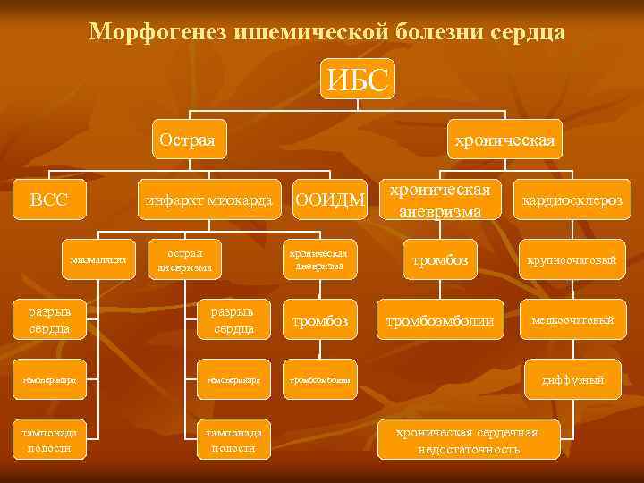 Морфогенез ишемической болезни сердца ИБС Острая ВСС инфаркт миокарда миомаляция острая аневризма хроническая аневризма