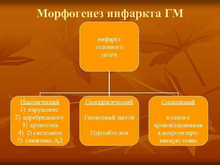 Морфогенез инфаркта ГМ инфаркт головного мозга Ишемический 1) нарушение 2) церебрального 3) кровотока 4)