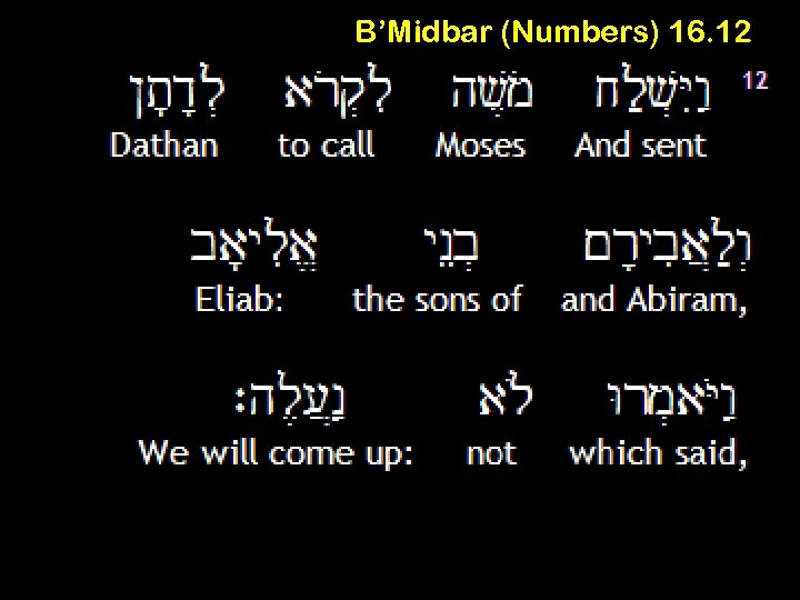 B’Midbar (Numbers) 16. 12 