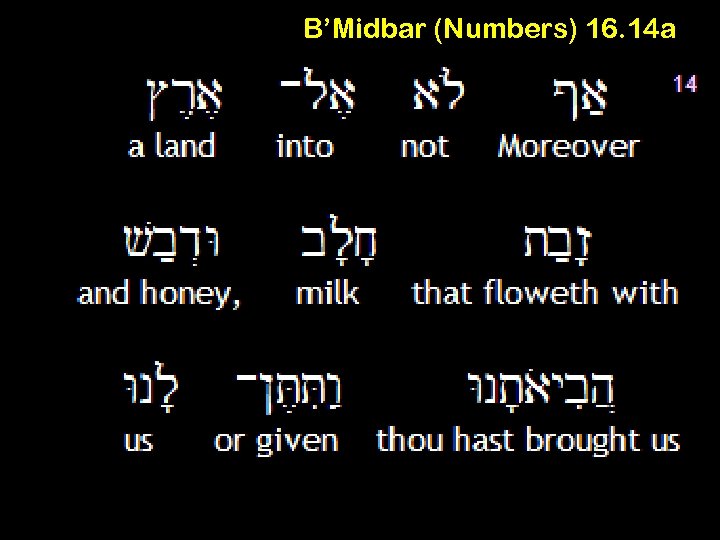 B’Midbar (Numbers) 16. 14 a 
