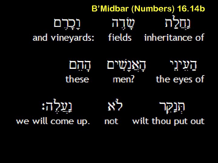 B’Midbar (Numbers) 16. 14 b 
