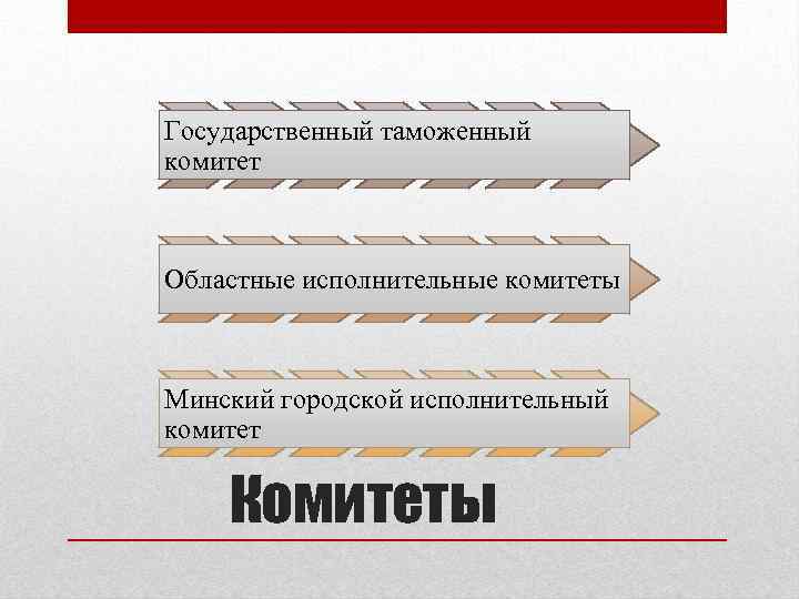 Государственный таможенный комитет Областные исполнительные комитеты Минский городской исполнительный комитет Комитеты 