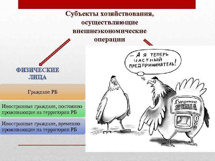 Субъекты хозяйствования, осуществляющие внешнеэкономические операции Граждане РБ Иностранные граждане, постоянно проживающие на территории РБ