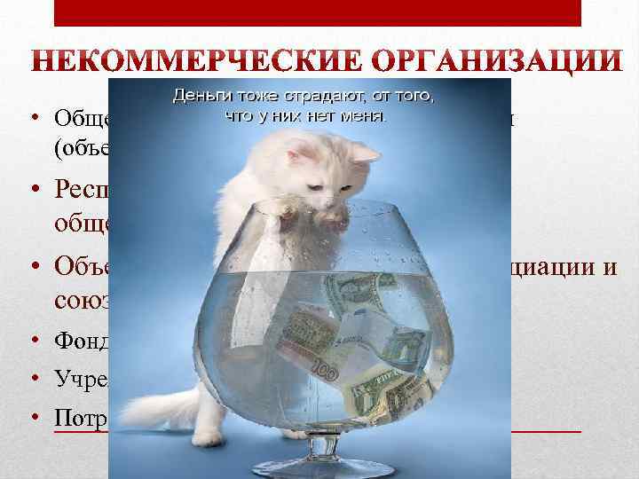  • Общественные и религиозные организации (объединения) • Республиканские государственнообщественные объединения • Объединения юридических